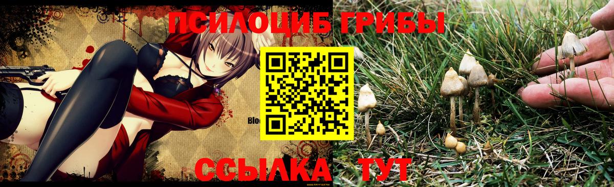 Галлюциногенные грибы GOLDEN TEACHER  Вход с VPN  Краснокамск 