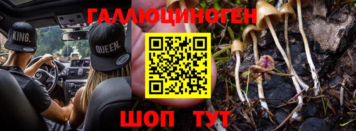 Псилоцибиновые грибы Magic Shrooms Краснокамск